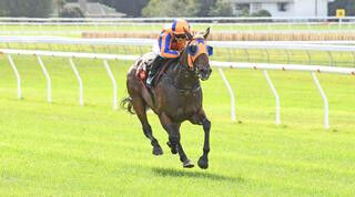 Avantage (Fastnet Rock) claims the Group One $200,000 Haunui Farm WFA Classic (1600m). 